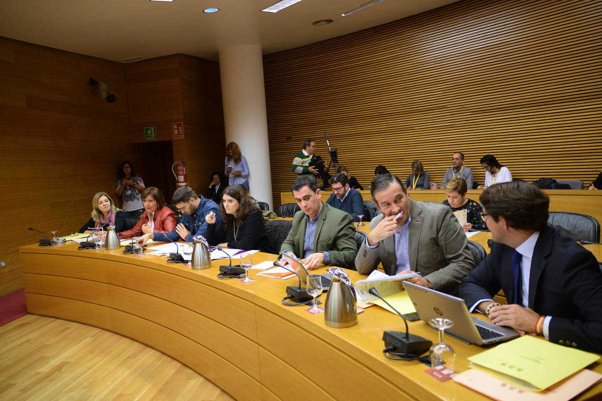Corts Valencianes. Foto: CORTS/INMA CABALLER
