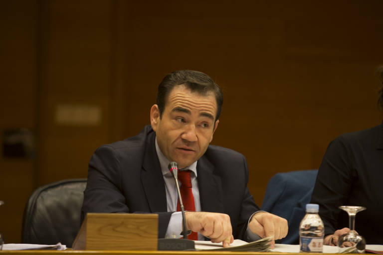 El director del IVF, Manuel Illueca, en una comparecencia en Les Corts