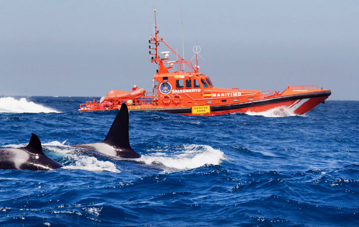 Una salvamar, de SM. Foto: SALVAMENTO MARÍTIMO
