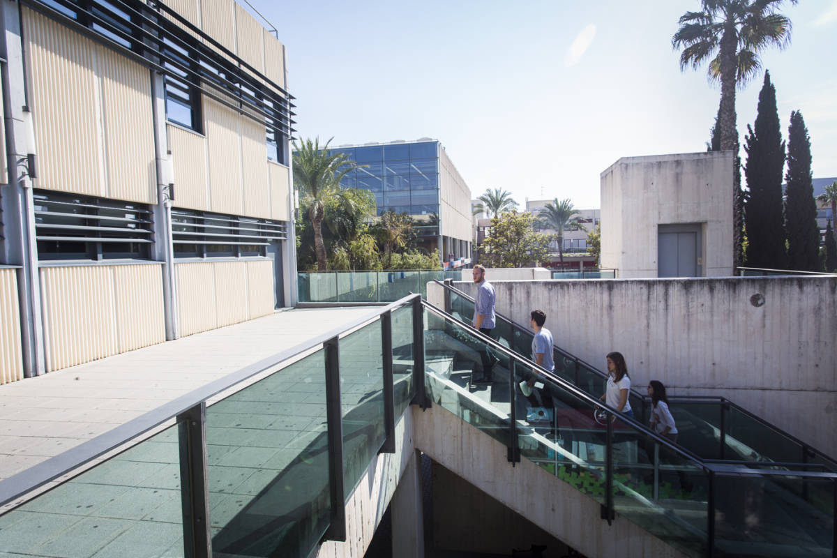UPV. Foto: EVA MÁÑEZ