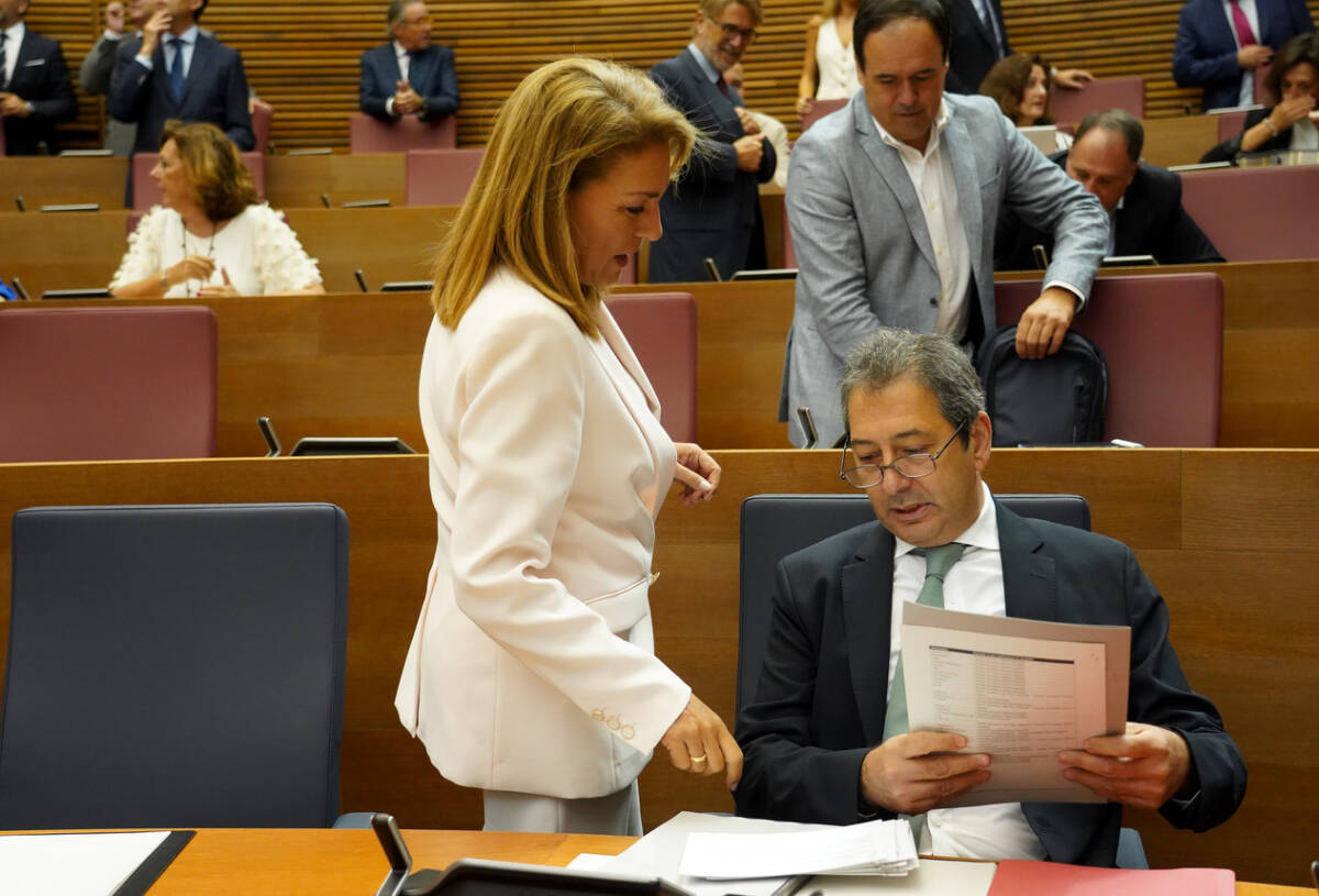 Los vicepresidentes del Consell Vicente Barrera y Susana Camarero. Foto: EDUARDO MANZANA