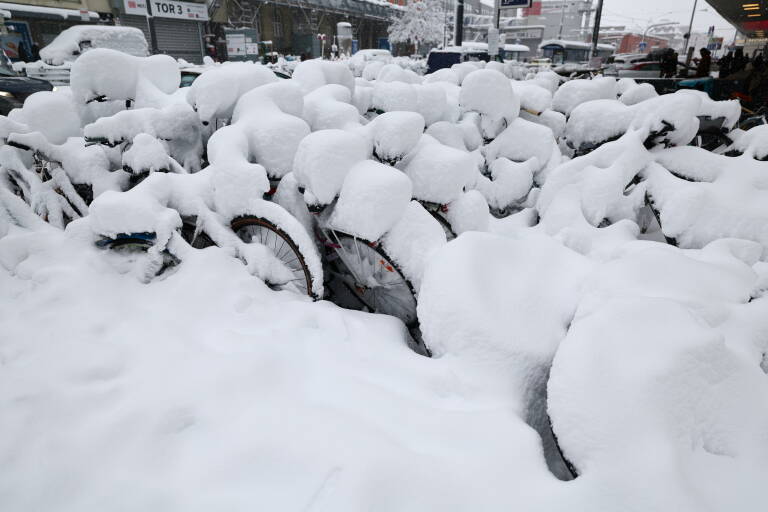 Foto: EFE/EPA/ANNA SZILAGYI