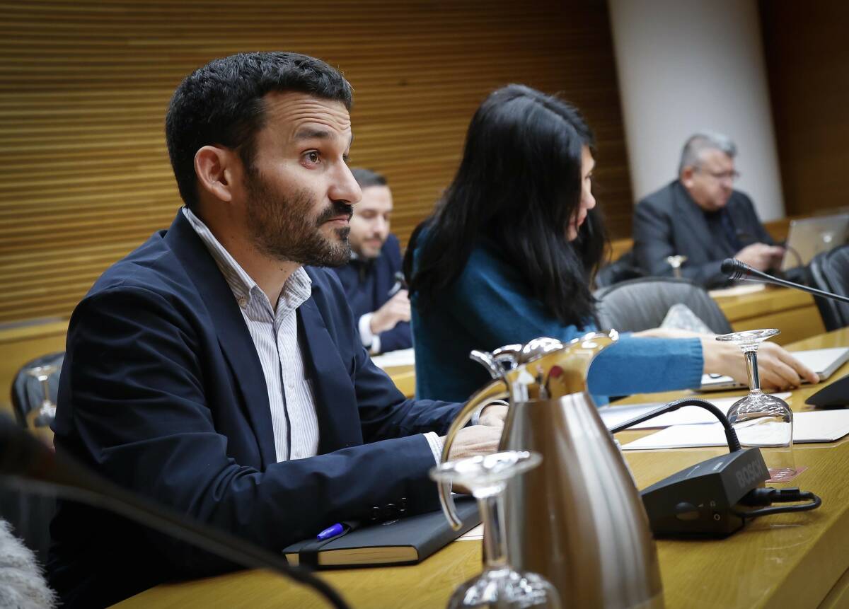 El diputado de Compromís, Vicent Marzà. Foto: JOSÉ CUELLAR/CORTS