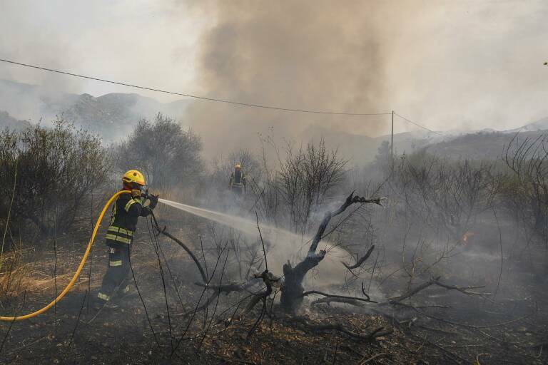 Foto: EFE/NATXO FRANCÉS
