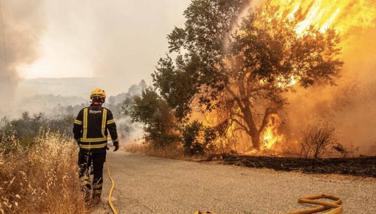 Foto: CONSORCIO DE BOMBEROS DE ALICANTE