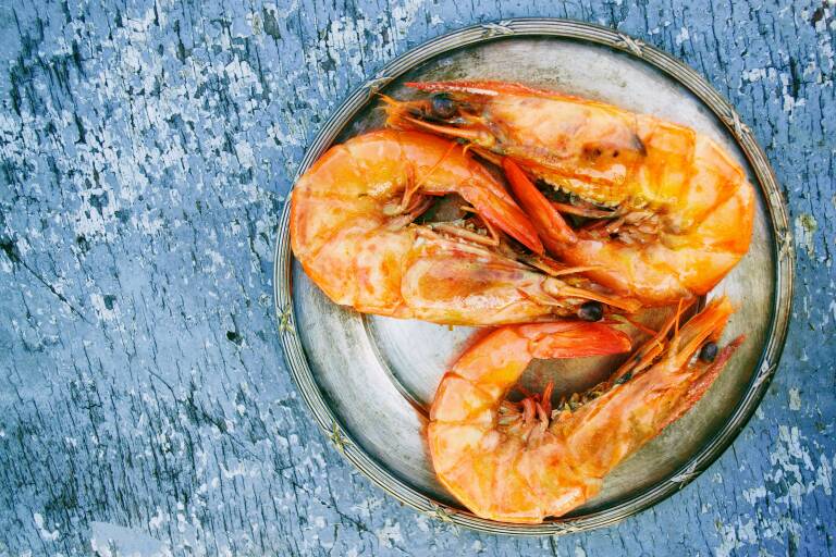 Imagen de archivo. Foto: DANA TENTIS/PEXELS