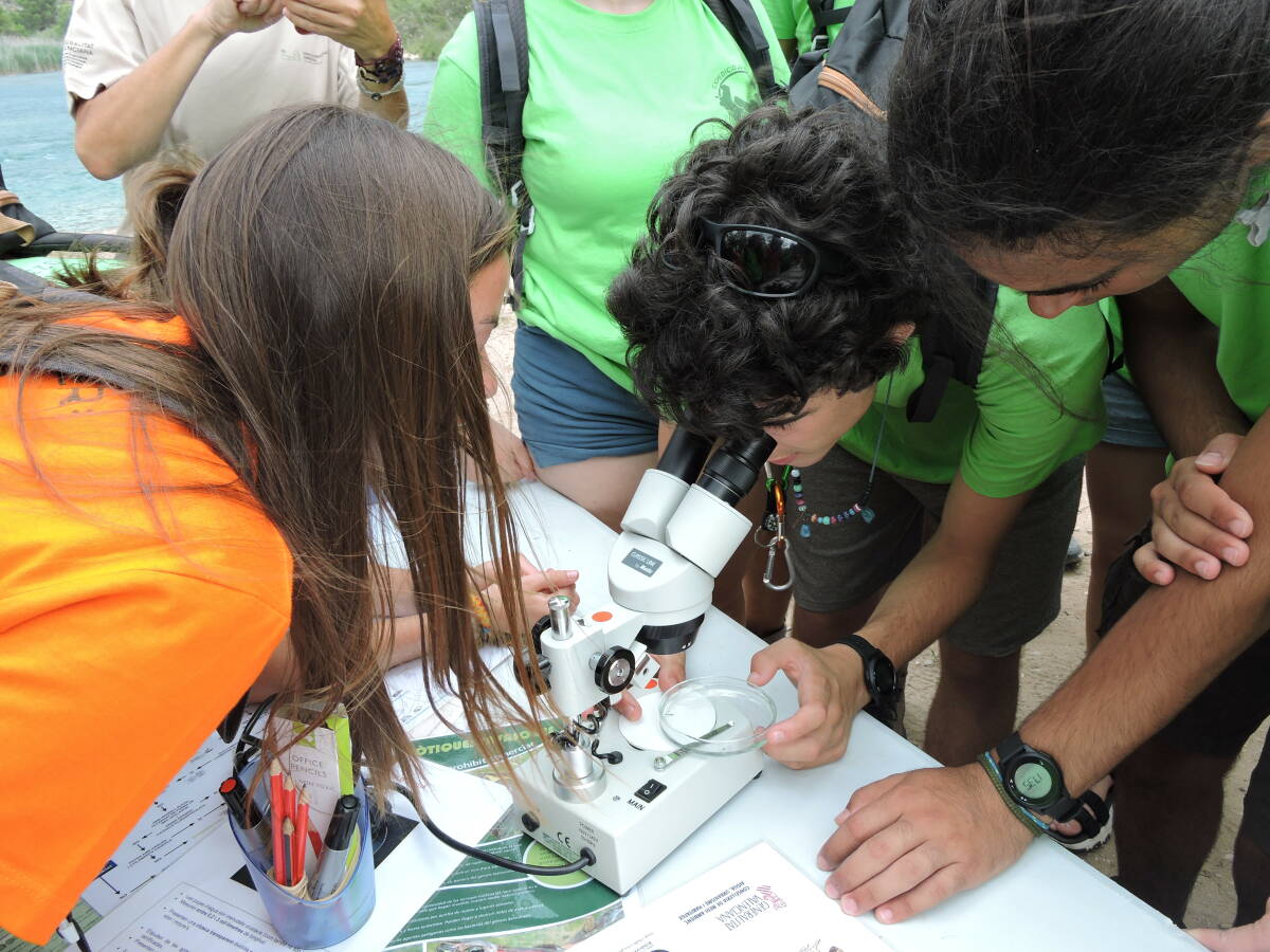 Foto: Expedició Juvenil Cavanilles