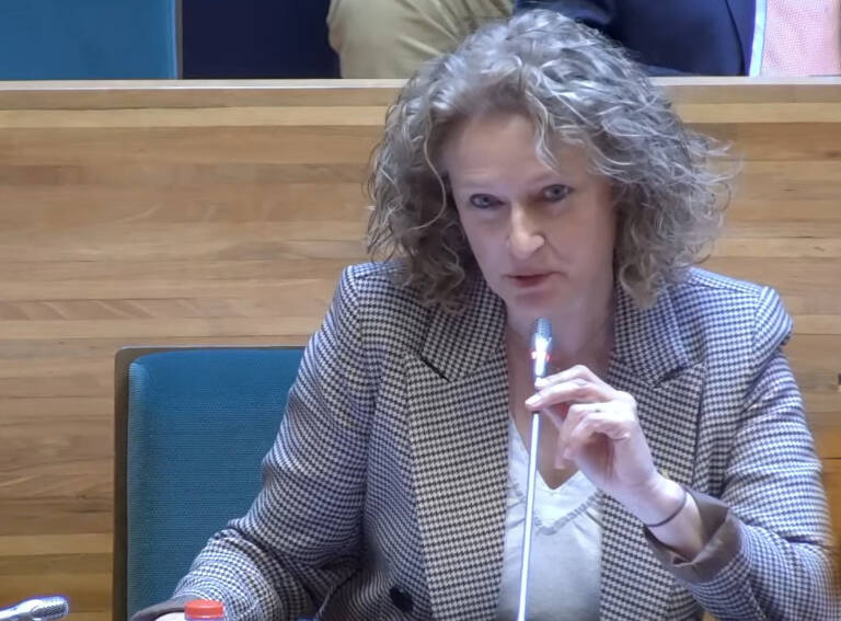 Amparo Folgado en su intervención en el Pleno de la Diputación de Valencia