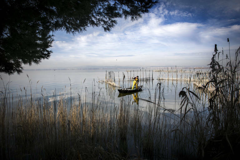 L'Albufera, en una imagen de archivo. Foto: EVA MÁÑEZ